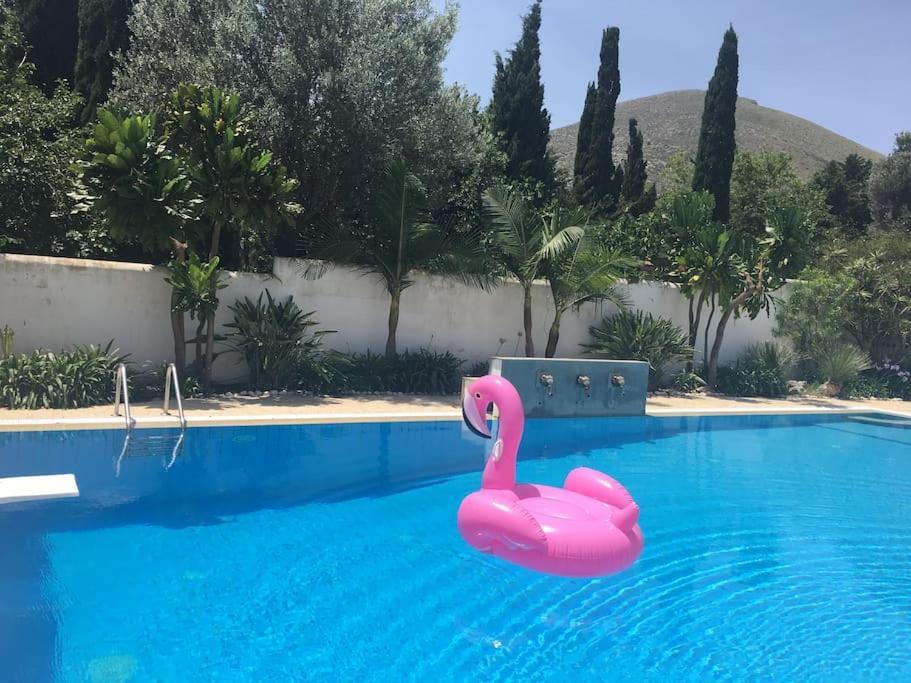 Villa Elloise Palermo Esterno foto