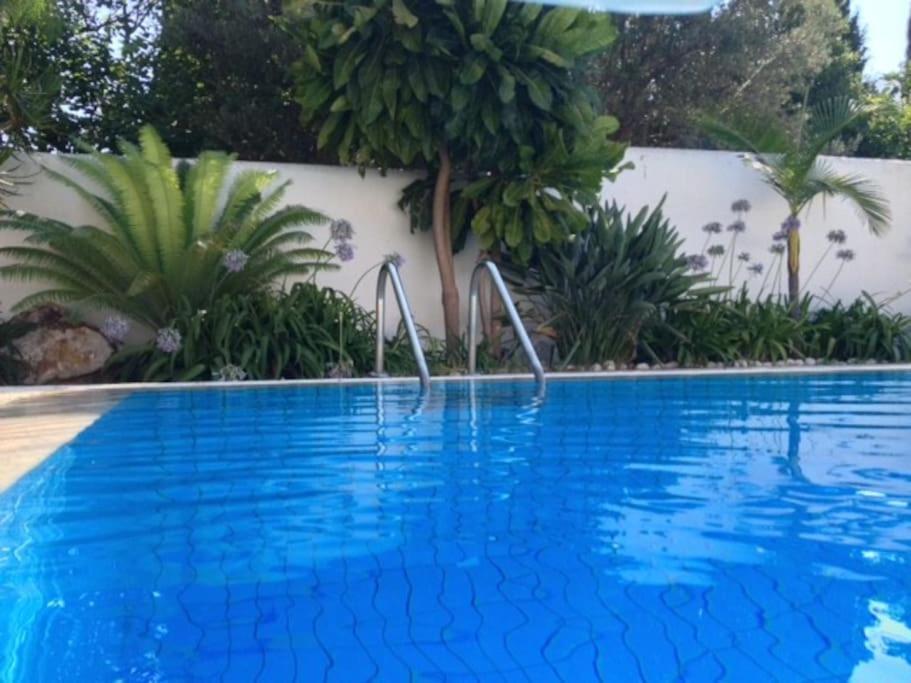 Villa Elloise Palermo Esterno foto