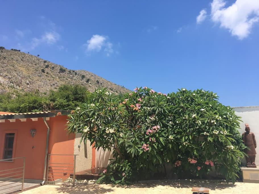 Villa Elloise Palermo Esterno foto